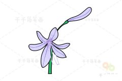 百子莲简笔画教程