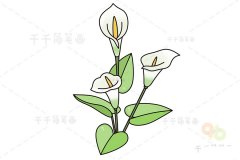 马蹄莲简笔画 亲子绘画