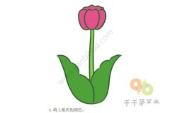 高贵的郁金香简笔画步骤图