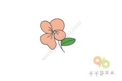 琼花简笔画图片