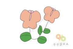 顽强的蝴蝶花简笔画