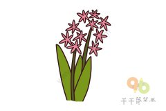 风信子简笔画教程