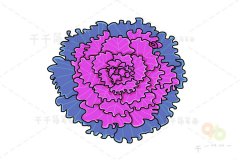 羽衣甘蓝简笔画步骤图