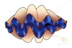 番红砗磲简笔画