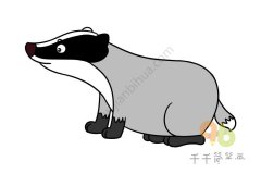 教你怎么画獾的简笔画