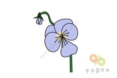 高雅的三色堇简笔画