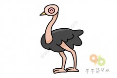 幼儿简笔画鸵鸟简笔画步骤图 最大的鸟
