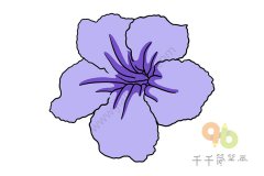 翠芦莉花简笔画步骤图