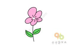 简单好画 粉色花朵简笔画