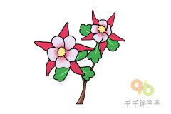 耧斗花简笔画画法