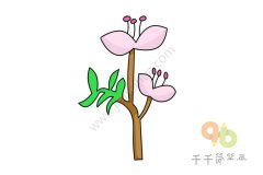 百花齐放简笔画（系列一）