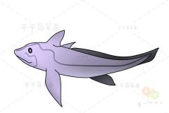 幽灵鲨简笔画
