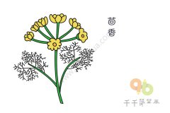 茴香花简笔画步骤图