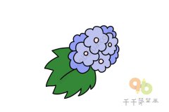 高雅的紫色绣球花简笔画