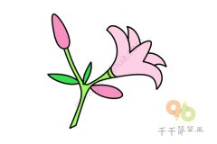 烂漫的百合简笔画