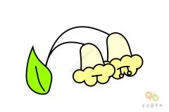 轻松学 铃兰花简笔画