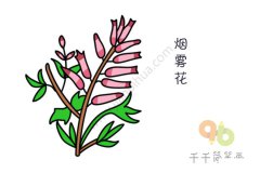烟雾花简笔画图片