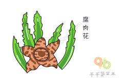 腐肉花简笔涂色画