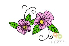 盛开的三色堇简笔画图片