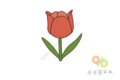 热烈的爱 红色郁金香简笔画