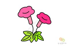 鲜丽娇媚的牵牛花简笔画