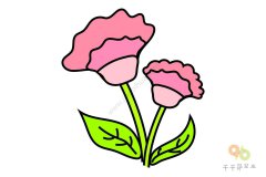 简单线条的鸡冠花简笔画