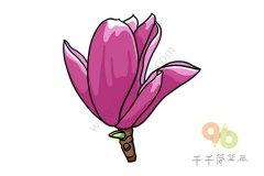 紫玉兰花朵简笔画步骤图