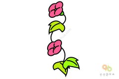 爬墙的牵牛花简笔画