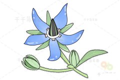 简笔画花朵素材大全 爱画画的你赶紧来收藏啦