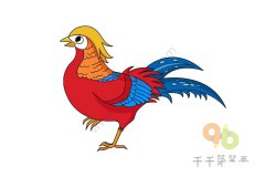 幼儿学画红腹锦鸡画法