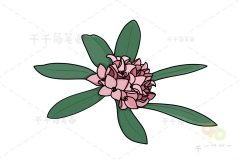瑞香简笔画教程