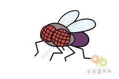 教你画 苍蝇简笔画