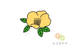 盛开的山茶花简笔画