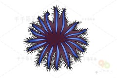 棘冠海星简笔画
