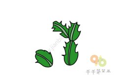 简单学会 蟹爪兰简笔画