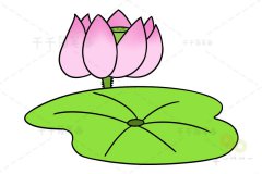 荷花简笔画 儿童学画画