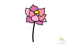 轻松学会 美丽的荷花简笔画