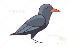 山鸦简笔画