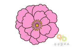 牡丹简笔画图片