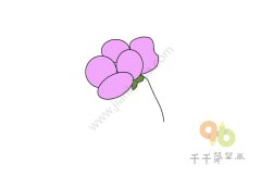 轻松学会 蝴蝶花简笔画图片