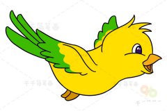 小鸟简笔画图片