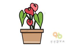 花烛简笔画图片教程