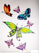 漂亮的蝴蝶简笔画_1