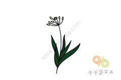 简约的韭菜花简笔画