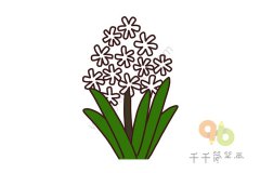 轻松学会风信子简笔画