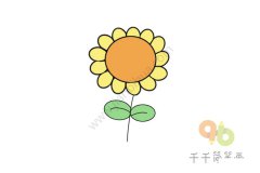 漂亮又简单 向阳花简笔画图片大全