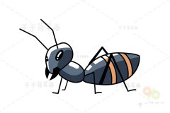 弓背蚁简笔画