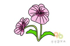 艳丽的三色堇简笔画