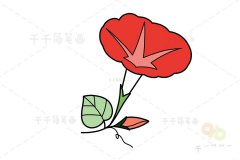 艳丽的喇叭花简笔画