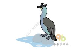 怎么画海鸬鹚简笔画图片